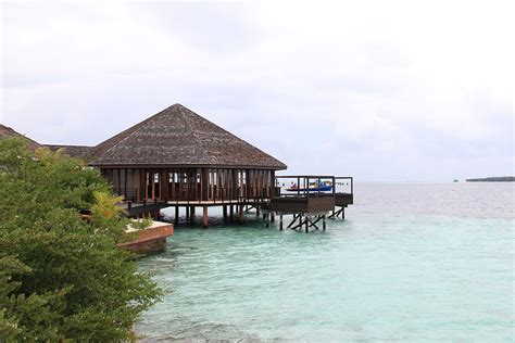 莉莉岛Lily Beach Resort & Spa Maldives酒店度假村度假预定优惠价格_八大洲旅游