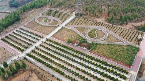 马龙区：持续深化绿色殡葬改革 生态公墓建设有序发展 - 县区动态 - 曲靖市人民政府门户网