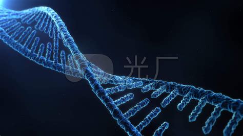 DNA基因链图片素材-正版创意图片501117560-摄图网