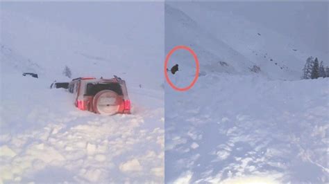 新疆喀纳斯雪崩致多辆车被困 当地警方：人车均已脱险_凤凰网