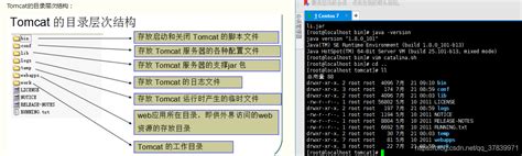 linux中tomcat的安装和配置（最全最详细）_猫哥码世界的博客-CSDN博客_linux tomcat安装及配置教程