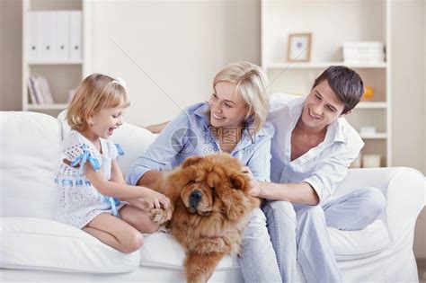 家里养狗的年轻家庭高清图片下载-正版图片504666347-摄图网