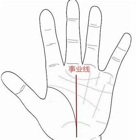 手掌相学如何解析 手掌纹路都代表什么寓意 手掌看相-周易算命网