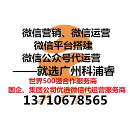 广州微信营销方案 微信营销策划 微信推广公司_广告营销服务_第一枪