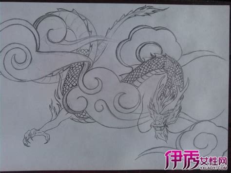素材 | 29幅中国龙白描图谱 喜欢龙的朋友一定收藏_工笔画