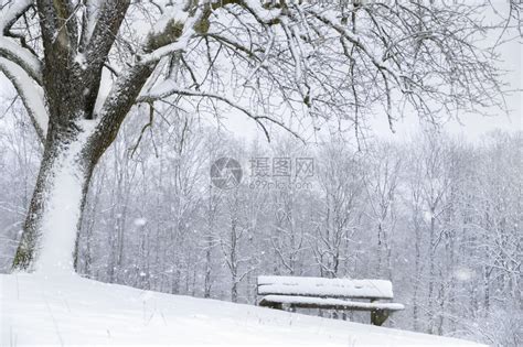厚厚的白雪覆盖在小山坡和树林上_高清图片_全景视觉