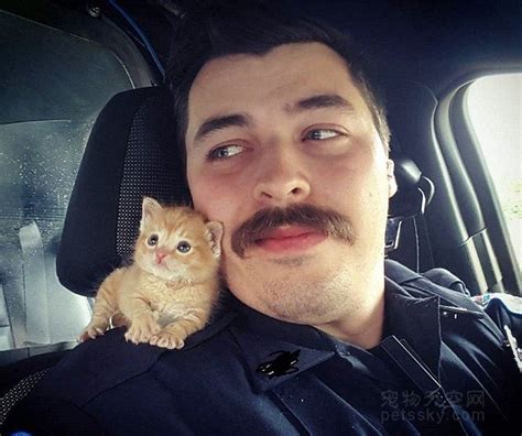 美国警察救小猫后带其巡逻 一人一猫成网红 | 宠物天空