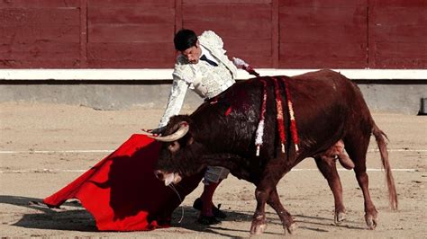 西班牙斗牛，看看这个斗牛士一剑刺入牛背的时候有多准，太血腥了_腾讯视频}