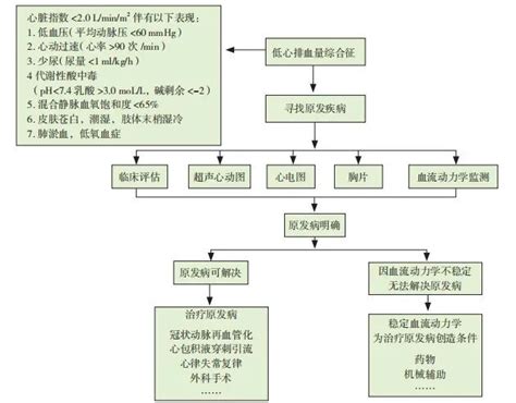 解读低心排血量综合征中国专家共识-MedSci.cn