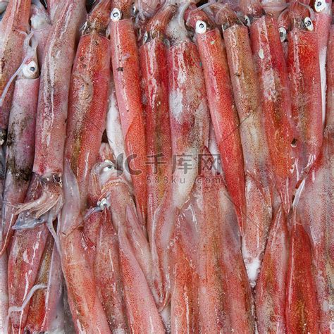 新鲜的鱿鱼在市场上高清摄影大图-千库网