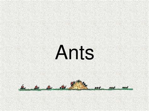 PPT - Ant PowerPoint Presentation, free download - ID:3018013