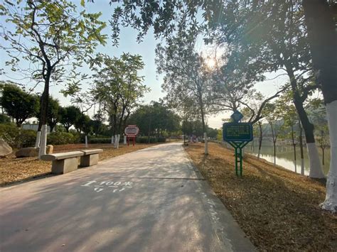 南村新增一条碧道，就在七星岗公园，跑步约起来