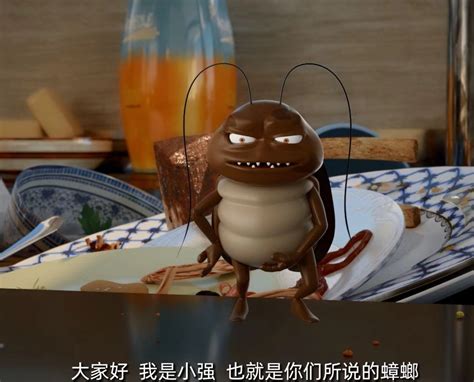 打不死的小强活跃季节又到，上海家庭受蟑螂侵扰呈上升趋势！灭蟑螂看这里 - 周到