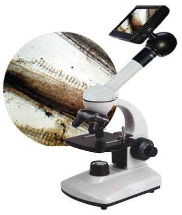 显微镜使用步骤图片,显微镜使用,显微镜使用流图(第5页)_大山谷图库