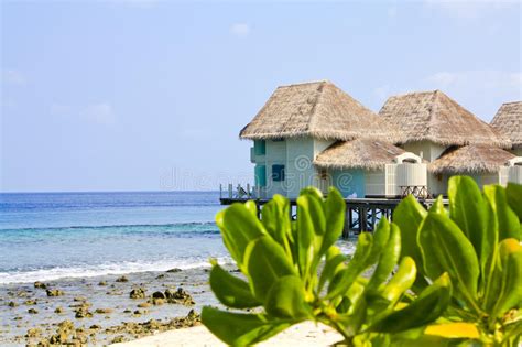 A Praia Bonita, Flores Sunbed Guarda-chuvas No Fundo Do Mar Foto de Stock - Imagem de luxo, real ...