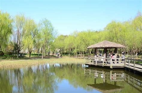 上海好玩的公园排行榜-排行榜123网