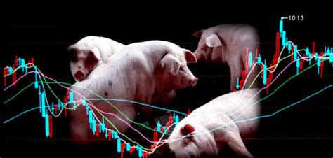 生猪价格跌破行业现金成本，仔猪价格跌至5年来较低水平，生猪价格还会继续跌吗？ - 猪好多网