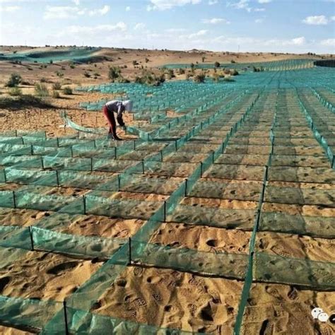 新疆固沙工程 巨网“罩”住塔克拉玛干沙漠|塔克拉玛干沙漠|新疆|且末县_新浪新闻