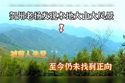贺州文化之魅——贺州语言文化保护与传承（下）_方言