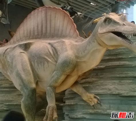 侏罗纪恐龙之王 _排行榜大全