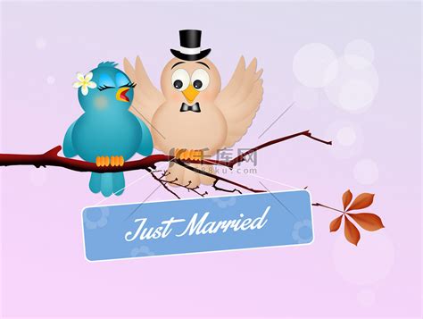 婚庆水晶鸟吊饰塑料透明飞鸟亚克力小鸟婚礼吊顶挂件装饰道具蜂鸟-阿里巴巴