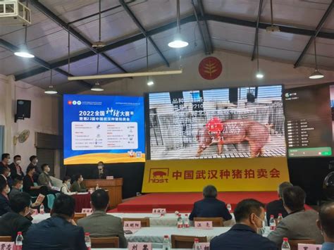 “标王”拍出39000元！第22届中国武汉种猪拍卖会收官-中国科技网