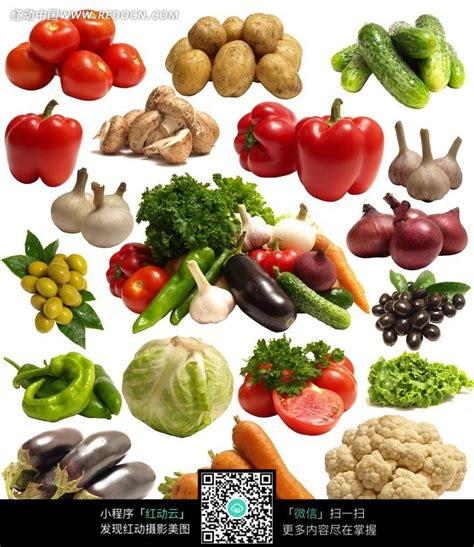日常食用水果蔬菜大全图片免费下载_红动网