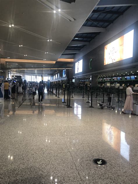 虹桥机场实拍!一大波新上海人坐飞机回家过年——上海热线