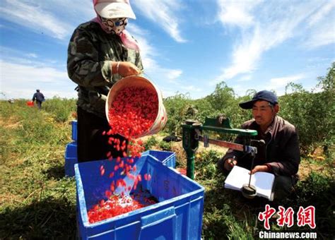 【图像记忆】茹遂初：1951-1952年青海土改--中国摄影家协会网