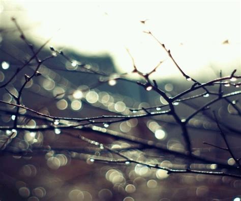 描写雨中漫步的唯美短句子 雨天的心情经典句子,好词好句-个性说