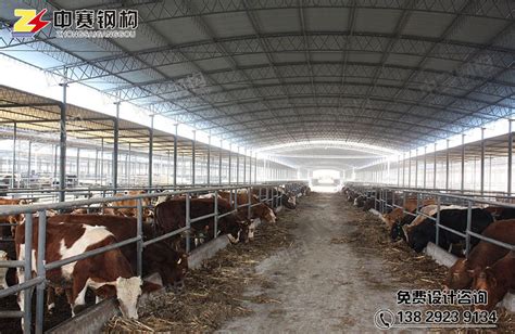 牛棚的建造尺寸是多少,牛棚的建造,单排牛棚的建造图片_大山谷图库