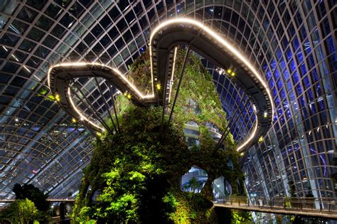 新加坡世界级超级温室花园_案例分享_南昌市童真玩具