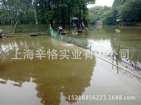 水府庙水库_水府庙水库钓鱼攻略_水府庙水库可以钓鱼吗 - 钓鱼之家