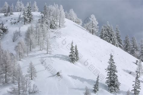 积雪的山坡图片-包图网