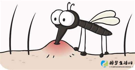 什么血型的人最招蚊子？蚊子喜欢叮咬什么样的人？防蚊妙招 - 醉梦生活网