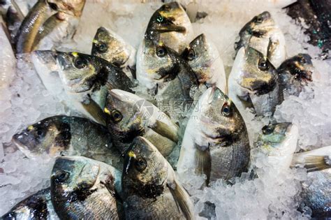 疫情下的三文鱼产业：进口商压力巨大 水产市场进行紧急消杀_手机新浪网