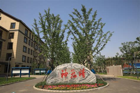 北京继续教育网入口
