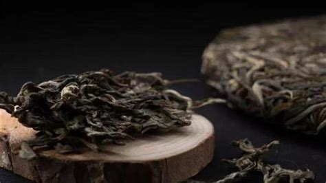 目前最常见的栽培型普洱茶有几种？每种普洱茶口感如何？_茶园