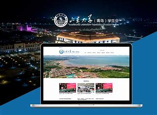 郑州知名网站优化 的图像结果