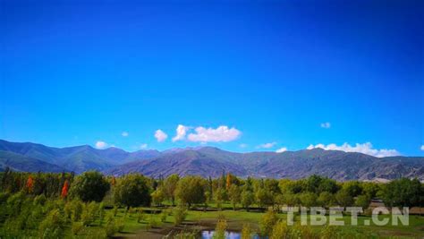 西藏：羊湖生态环境持续向好_时图_图片频道_云南网