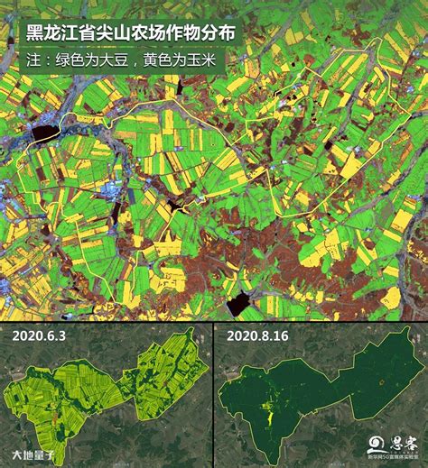 水稻生长周期卫星影像图-农作物卫星影像图-农业多光谱数据@北京零图