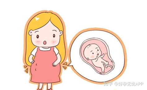 什么时候开始有胎动？孕妈要学会数胎动，胎动太频繁要注意_胎儿