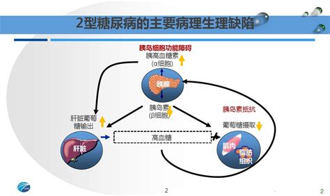 台湾省发布《2型糖尿病新药治疗路径图》，二甲双胍：那我走？_糖尿病_医脉通