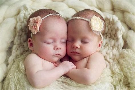 同卵双胞胎和异卵双胞胎的区别_知秀网