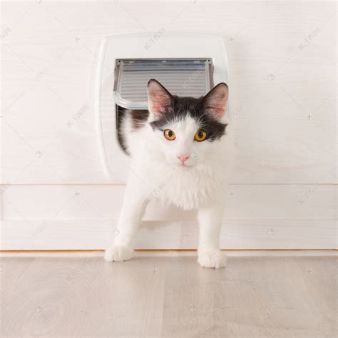 猫门自由出入门猫咪进出门开关门神器挡板装置自动关门宠物开门器-阿里巴巴