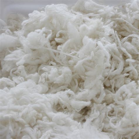 【图】羊毛和羊绒的区别 - 装修保障网
