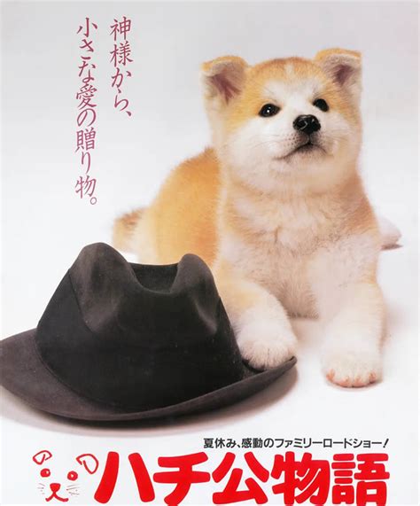 宫崎骏执导电影《千与千寻》发布重映版新海报……