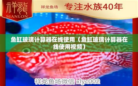 鱼缸玻璃计算器在线使用（鱼缸玻璃计算器在线使用视频） - 其他品牌鱼缸 - 广州观赏鱼批发市场