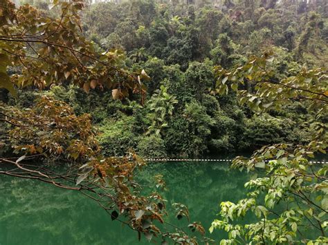 2019鼎湖山_旅游攻略_门票_地址_游记点评,肇庆旅游景点推荐 - 去哪儿攻略社区