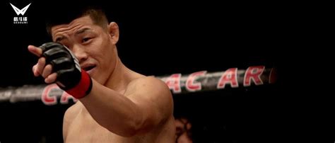 李景亮vs穆斯里穆，一场UFC散打系终极内战！|散打|穆斯里穆|UFC_新浪新闻